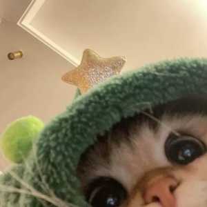 حلما مقاره