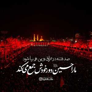 فاطمه تفقدی هلالی
