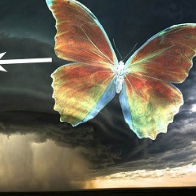 جلسه هفتم اثر پروانه ای