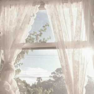 نرگس شافعی (ششم دبستان)