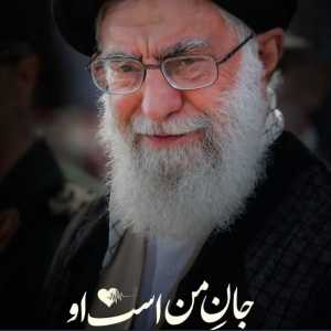 ضحی دلیری