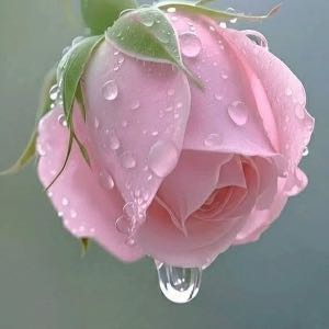 زهرا توسلی